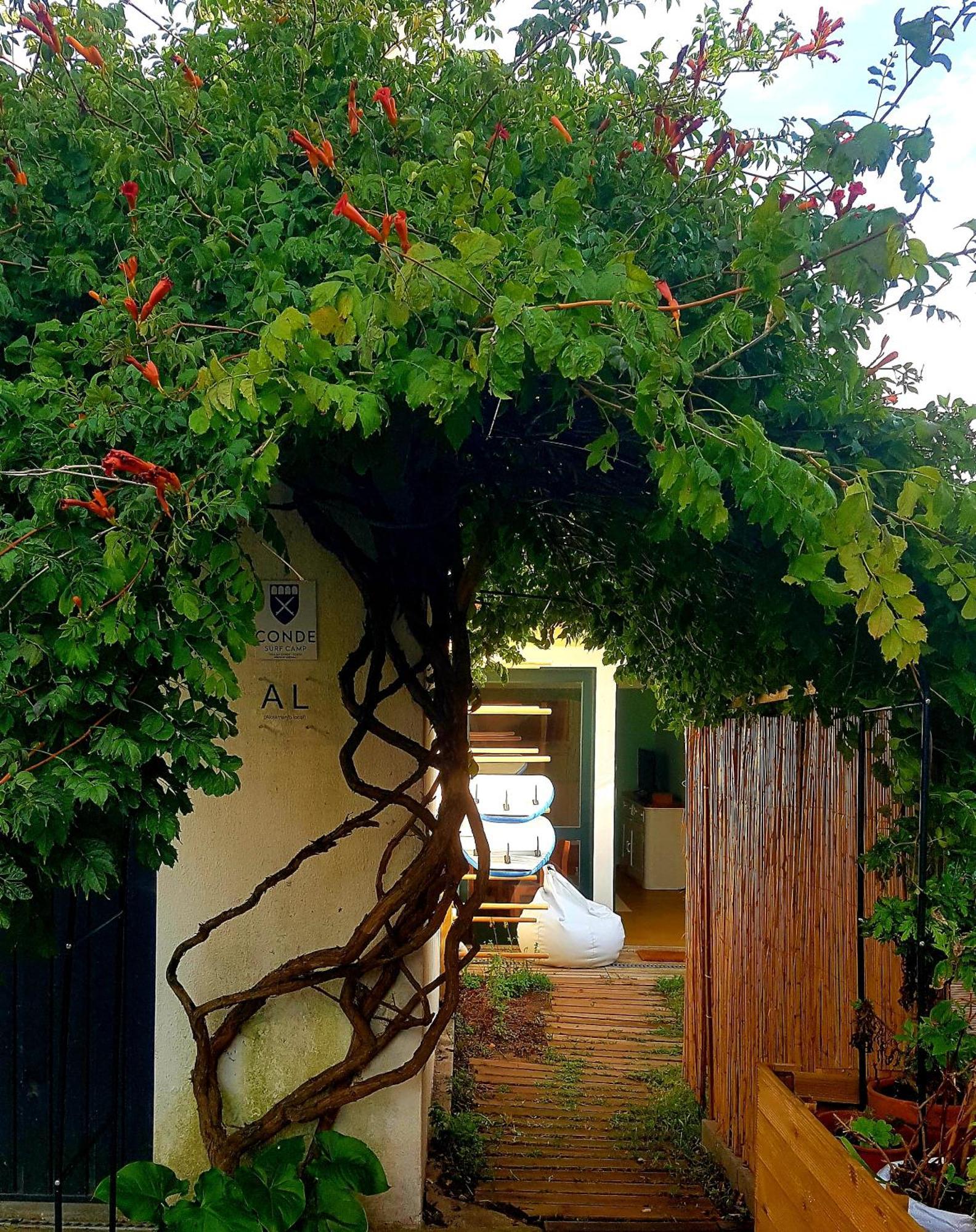 Conde Surf Camp - Junto Ao Mar - Entire Pvt House Holiday home Vila do Conde